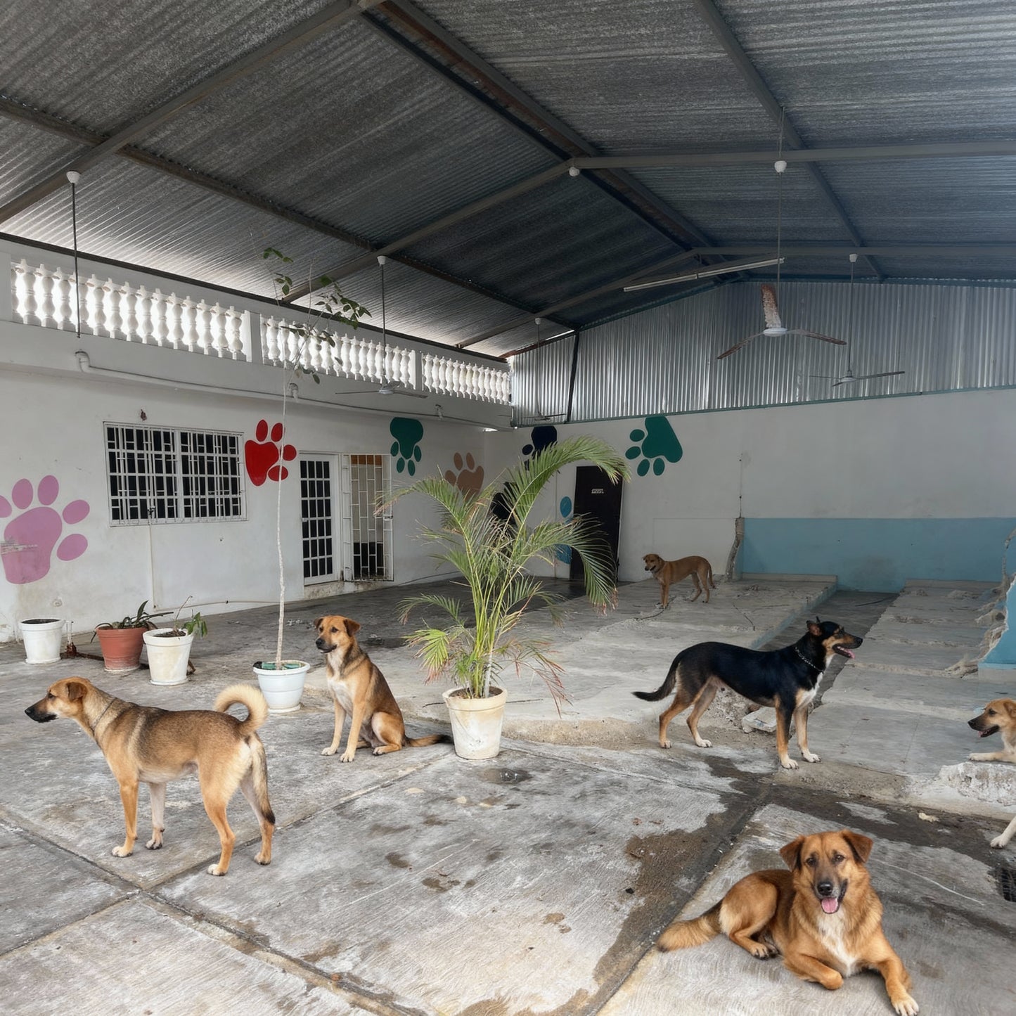 Bodega en Renta en Esquina de 395 m² Sobre Av Juarez – Playa del Carmen