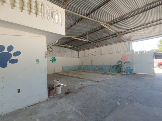 Bodega en Renta en Esquina de 395 m² Sobre Av Juarez – Playa del Carmen