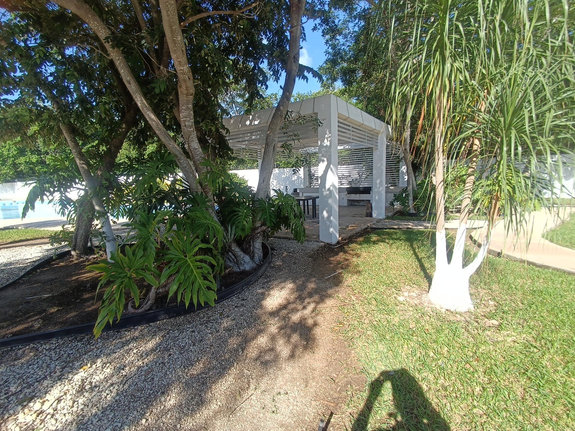 un area verde en residencial lunamar playa del carmen