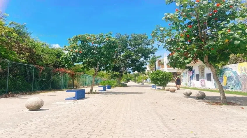 la quinta avenida de playa del carmen