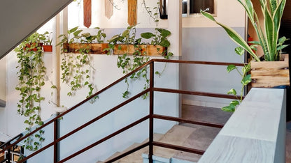 unas escaleras y plantas en siena suites playa del carmen