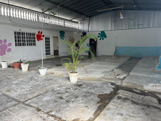 Bodega en Renta en Esquina de 395 m² Sobre Av Juarez – Playa del Carmen