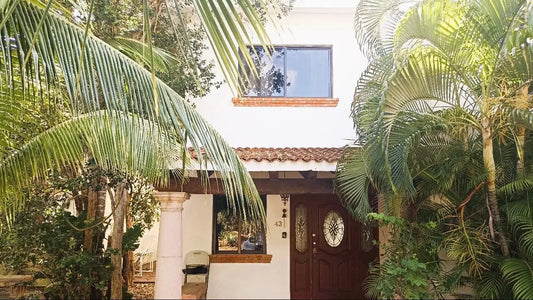 fachada exterior con plantas alrededor en casa akab playacar