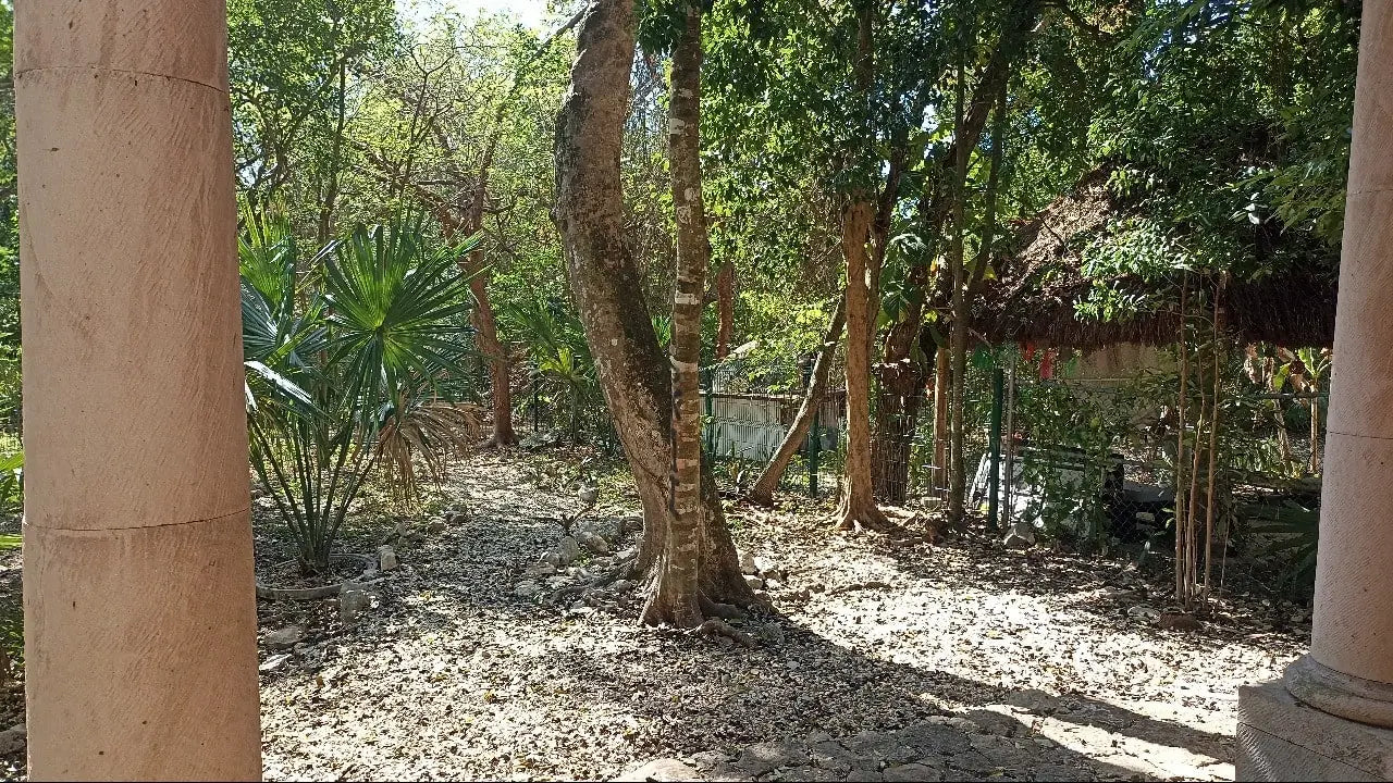 un jardin grande amplio en casa akab playacar