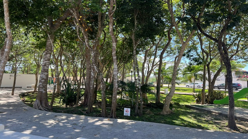 un parque con arboles y andadores para caminar en real del sol playa del carmen