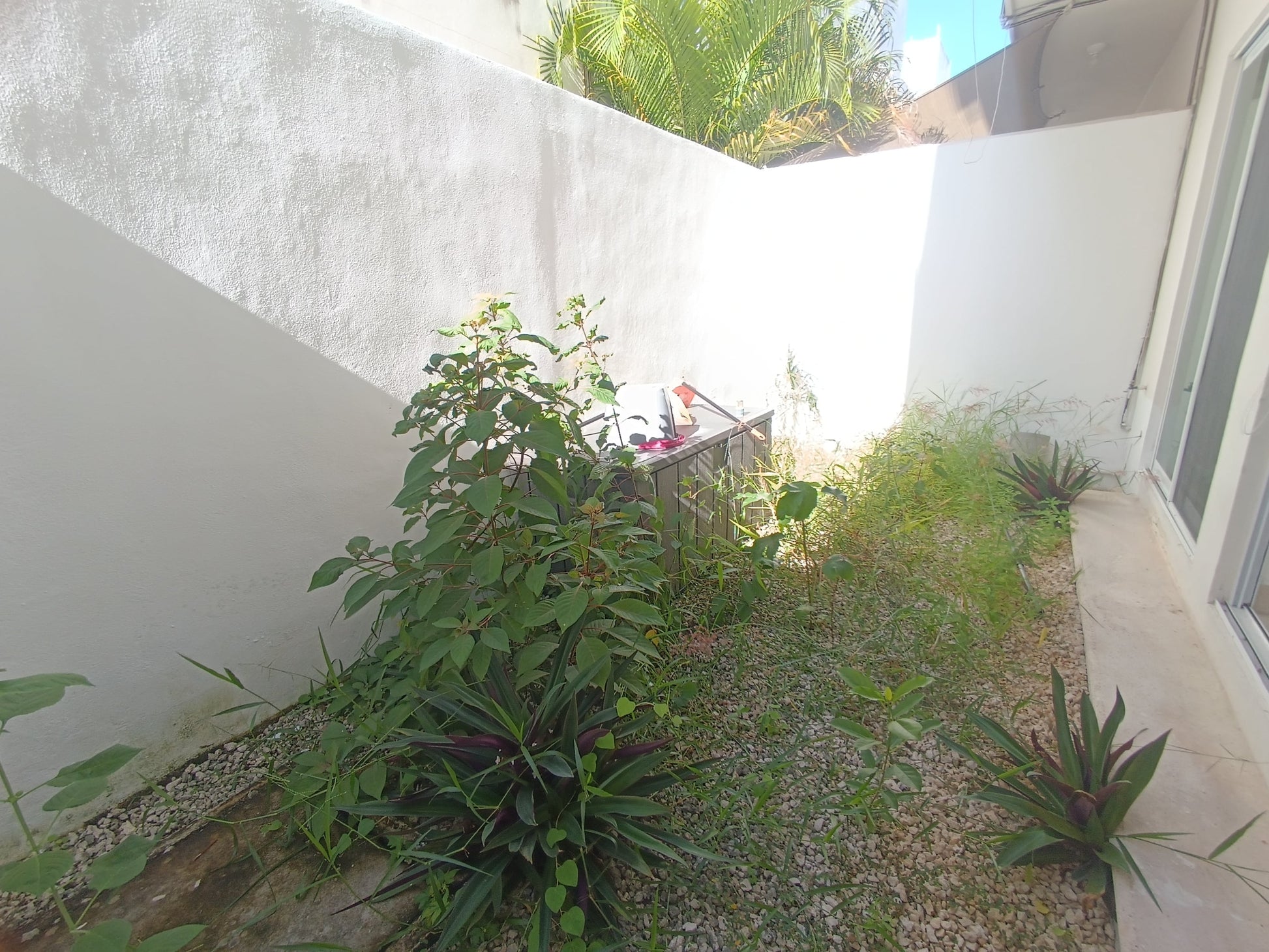 un patio en residencial lunamar playa del carmen