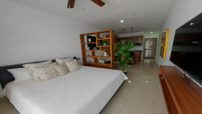 una recamara principal con una cama king size y una tv en vanessa 20 playa del carmen