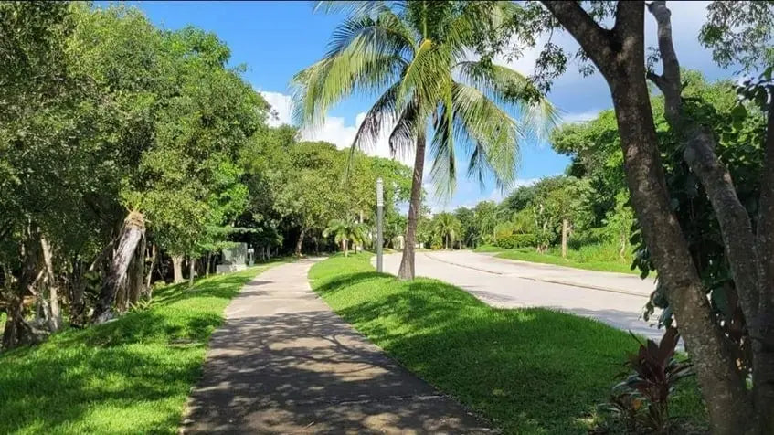 unos senderos para caminar en residencial selvamar playa del carmen