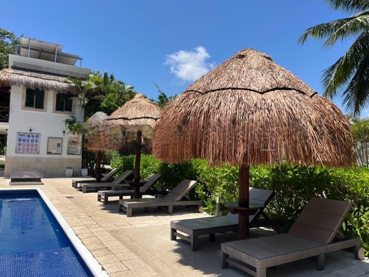 una alberca con palapas y camastros en privanza del mar playa del carmen