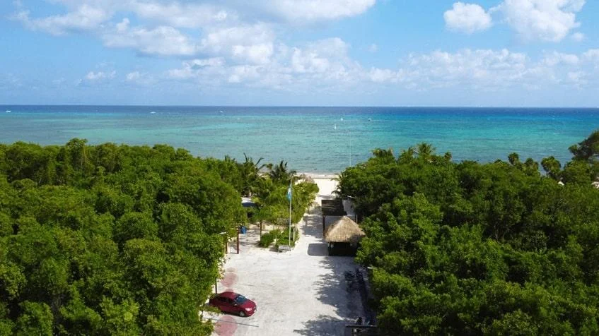un camino a la playa en colosio playa del carmen