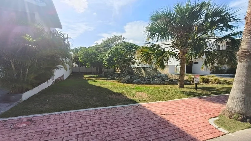 una vista de frente de areas verdes con palmeras en playa magna playa del carmen