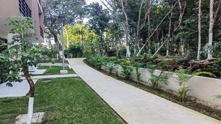 un pasillo para caminar en la selva residences playa del carmen