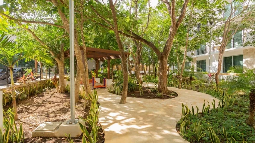 un pasillo para caminar y areas verdes alrededor en punta estrella playa del carmen