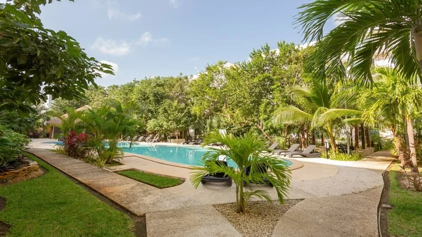 una piscina, unos camastros y areas verdes alrededor en punta estrella playa del carmen