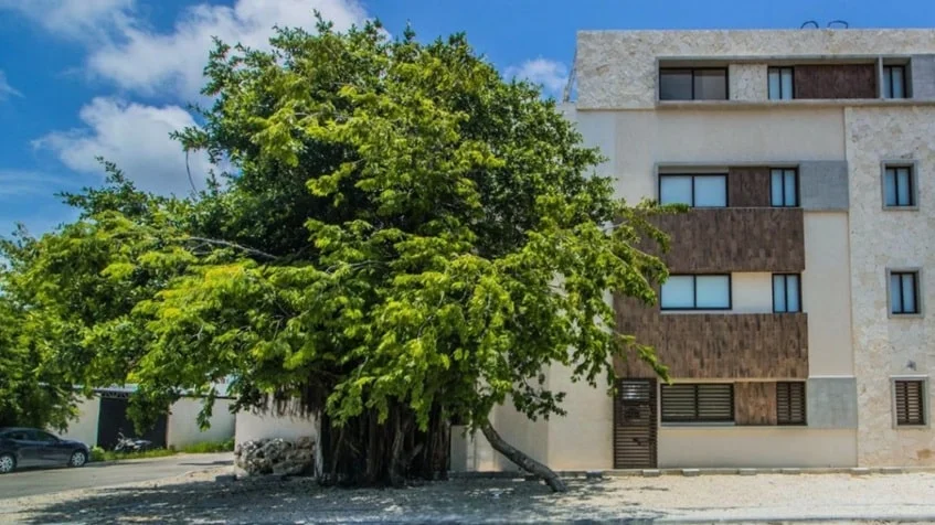 una fachada de un edificio de departamentos en verandas condos playa del carmen