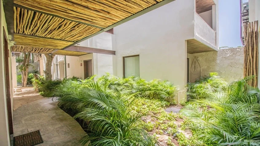 un pasillo con areas verdes en verandas condos playa del carmen