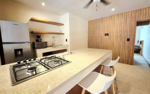 Estudio Amueblado en Renta | Casa de Sal Playa del Carmen
