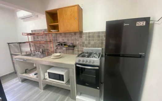 Departamento 1 Recámara en Renta | Av. Juarez Playa del Carmen
