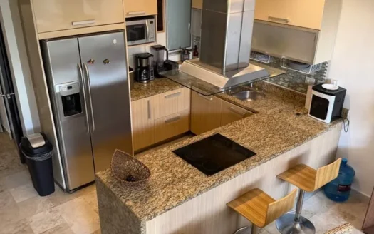 Departamento 2 Recamaras en Renta | Deva Condos Playa del Carmen