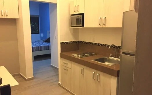 Departamento Amueblado de 1 Recámara en Renta | Condominios Xharm