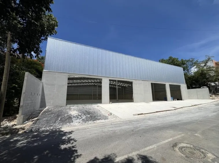video image